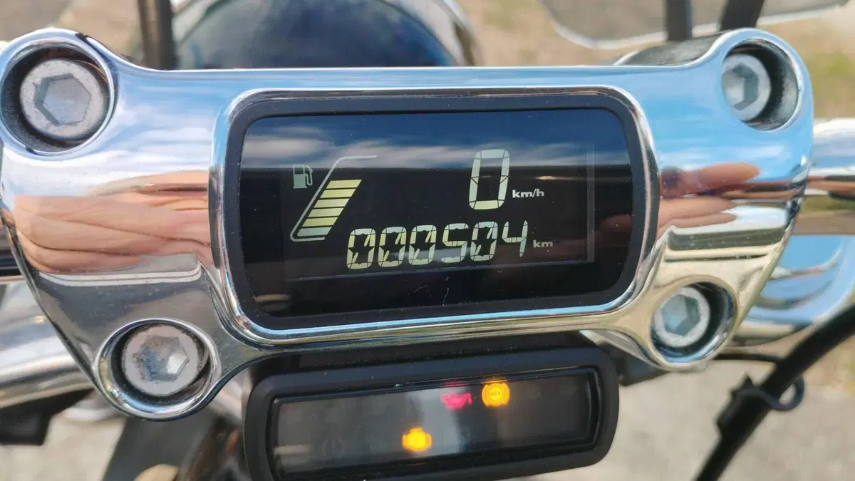 Harley-Davidson Softail Standard (2020) - FXST  (9)