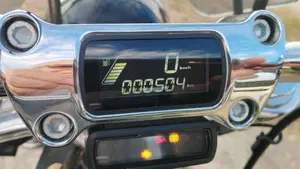Harley-Davidson Softail Standard (2020) - FXST  (9)