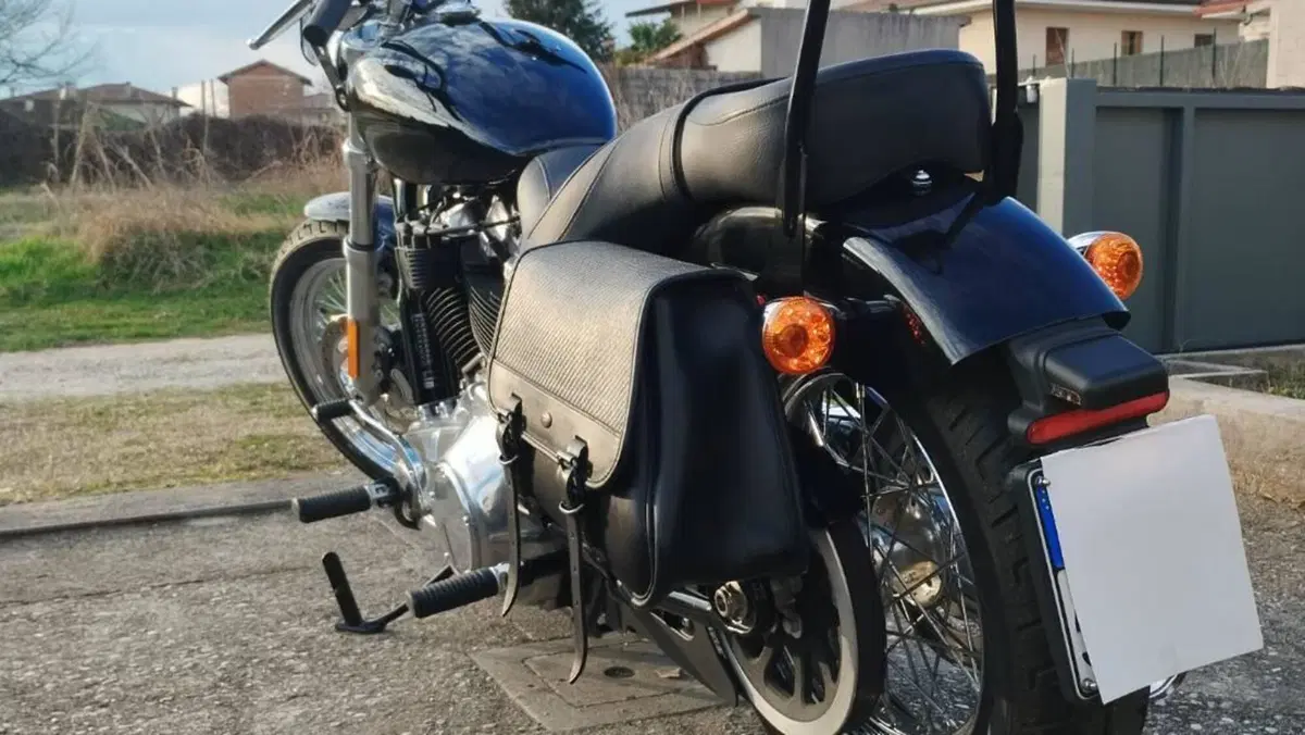 Harley-Davidson Softail Standard (2020) - FXST  (11)
