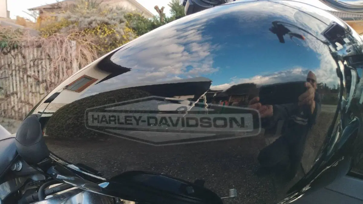 Harley-Davidson Softail Standard (2020) - FXST  (12)