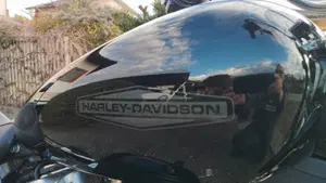Harley-Davidson Softail Standard (2020) - FXST  (12)