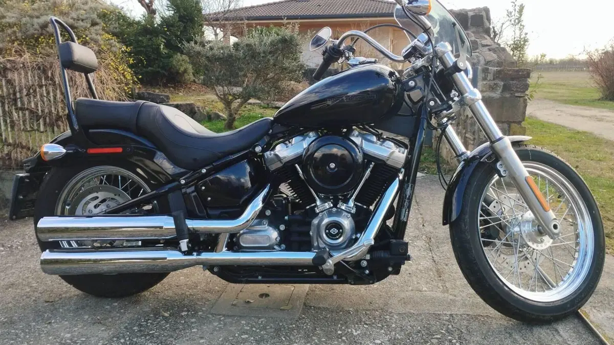 Harley-Davidson Softail Standard (2020) - FXST  (14)