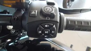 Harley-Davidson Sportster S (2022 - 24)  (3)