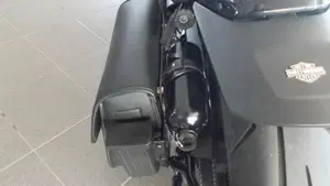 Harley-Davidson Sportster S (2022 - 24)  (4)