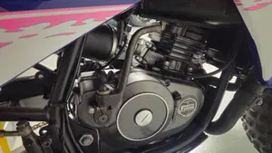Fantic Motor   (5)