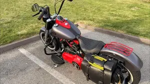 Harley-Davidson 1690 Deluxe ABS (2011 - 16) - FLSTN  (2)