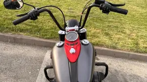Harley-Davidson 1690 Deluxe ABS (2011 - 16) - FLSTN  (4)