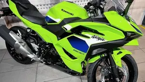 Kawasaki Ninja 500 SE (2024 - 26)  (4)