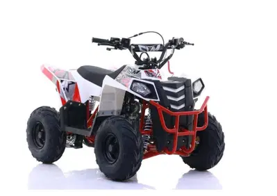  Altre moto o tipologie Quad - Annuncio 10008932