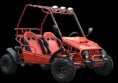  Altre moto o tipologie Quad - Annuncio 10008949