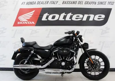 Harley-Davidson 883 Iron (2009 - 11) - XL 883N - Annuncio 10008958