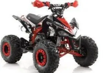  Altre moto o tipologie Quad - Annuncio 10008957