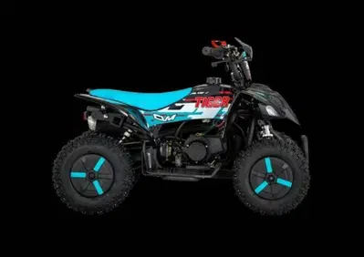  Altre moto o tipologie Quad - Annuncio 10008965