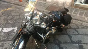 Harley-Davidson 1584 Springer Classic (2006 - 07) - FLSTSC  (4)