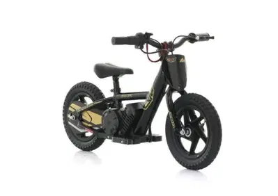  Altre moto o tipologie Elettrico - Annuncio 10009034