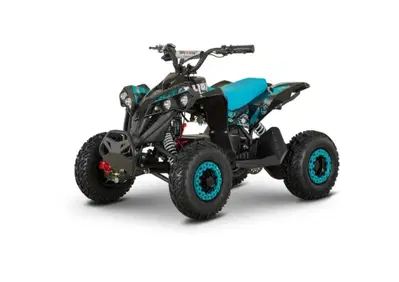  Altre moto o tipologie Elettrico - Annuncio 10009048
