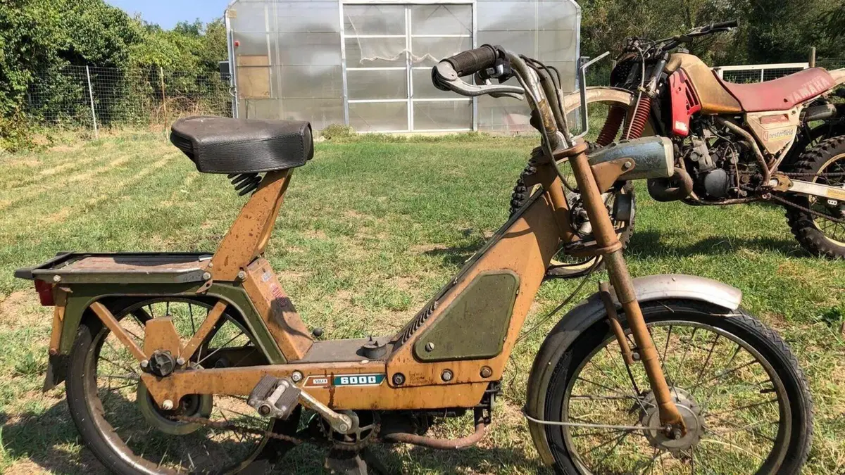 Solex   (3)