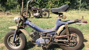 Benelli   (2)