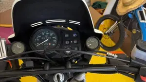 Bmw   (5)