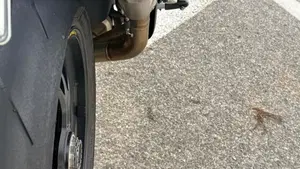 Ducati Multistrada V4 RS (2024 - 25)  (4)