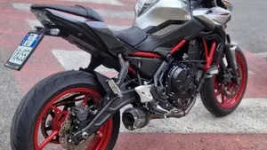 Kawasaki Z 650 (2021 - 24)  (2)