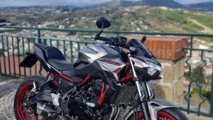 Kawasaki Z 650 (2021 - 24)  (5)