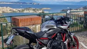 Kawasaki Z 650 (2021 - 24)  (6)