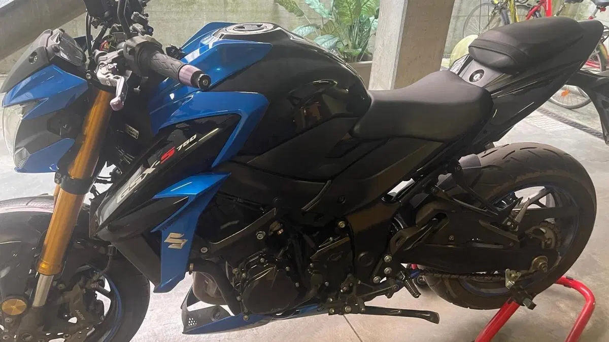Suzuki GSX S 750 ABS (2017 - 20)  (2)
