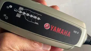 Yamaha Tricity 300 (2021 - 24)  (6)