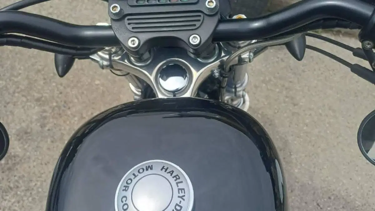 Harley-Davidson 1200 Sport (2001 - 03) - XL 1200S  (5)