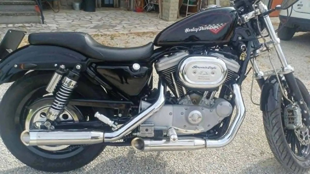 Harley-Davidson 1200 Sport (2001 - 03) - XL 1200S  (8)