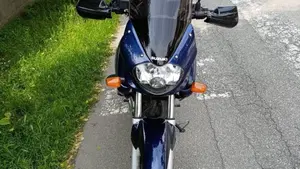 Suzuki XF 650 Freewind (1997 - 03)  (3)