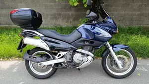 Suzuki XF 650 Freewind (1997 - 03)  (4)