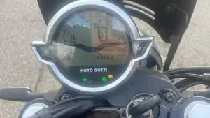 Moto Guzzi V7 Stone (2021 - 24)  (8)