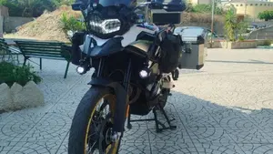 Bmw F 850 GS (2018 - 20)  (7)
