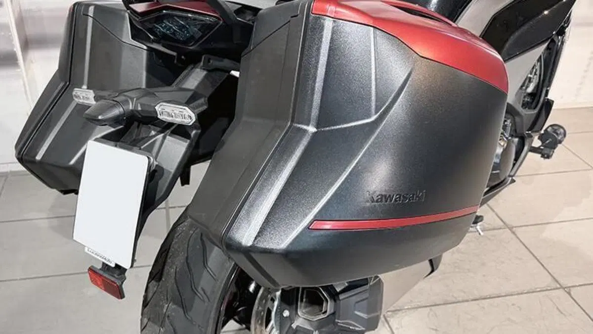 Kawasaki Ninja 1000 SX Tourer (2021 - 24)  (5)
