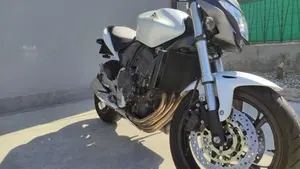 Honda Hornet 600 (2011 - 13)  (2)