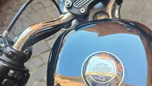 Harley-Davidson 883 (2008 - 09) - XL  (3)