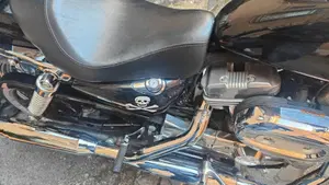 Harley-Davidson 883 (2008 - 09) - XL  (7)