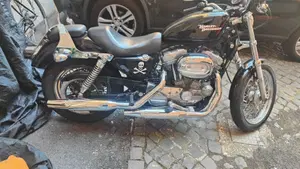 Harley-Davidson 883 (2008 - 09) - XL  (8)