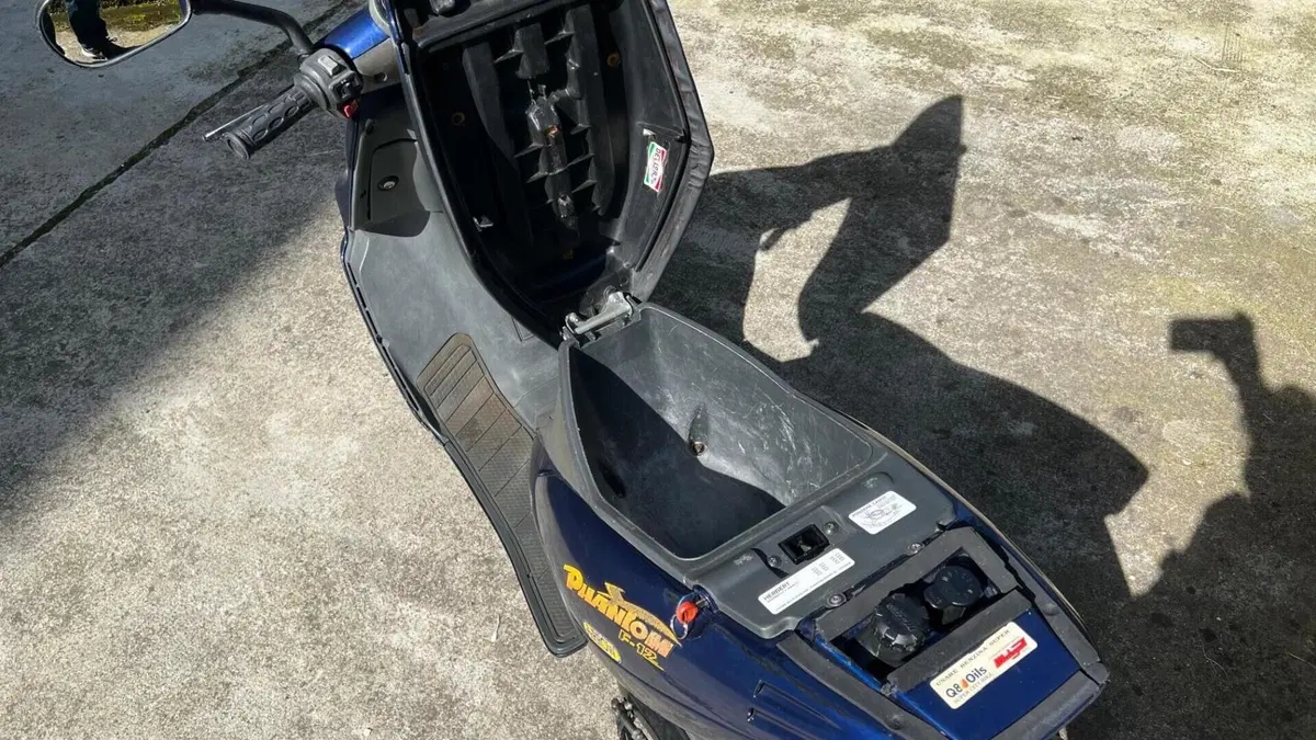 Malaguti F12 Phantom 50 (1993 - 99)  (8)