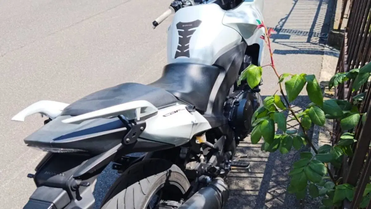 Honda CBF 1000 ST (2010 - 13)  (3)