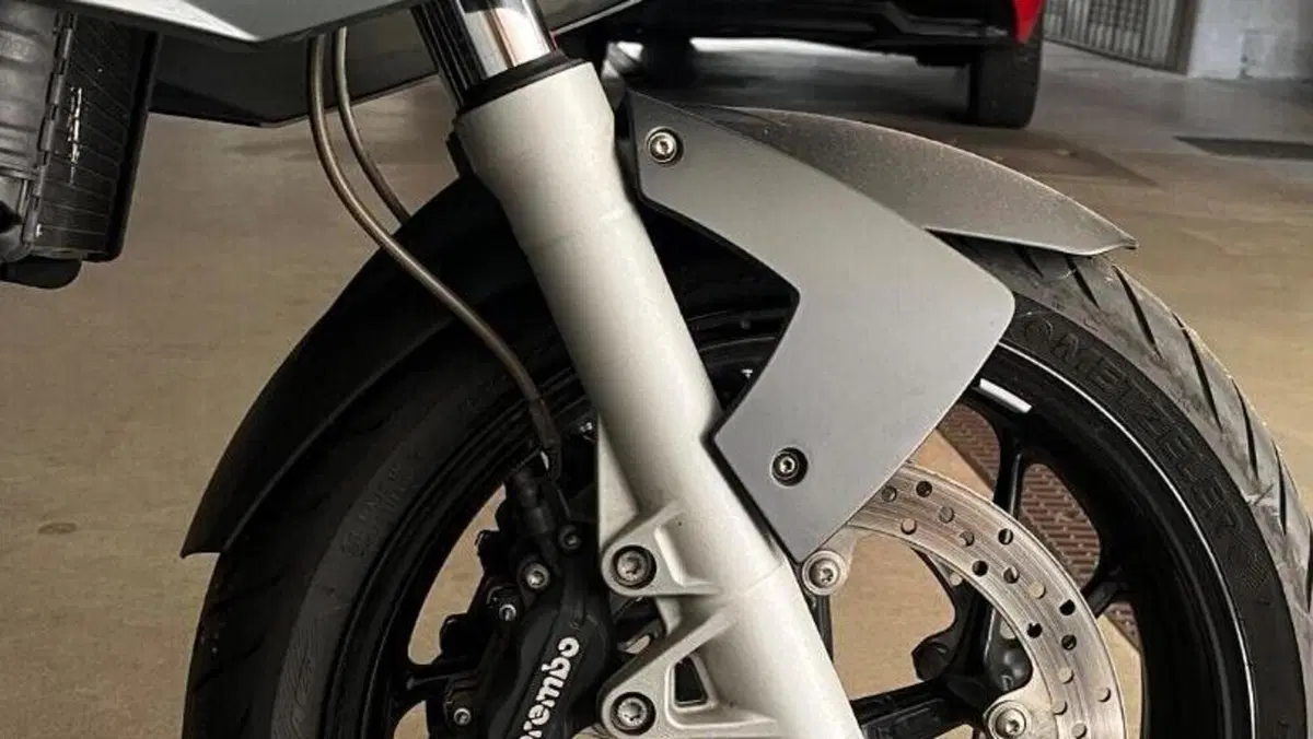 Bmw F 800 S  (4)