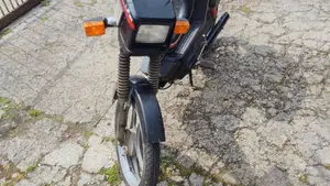 Atala   (2)