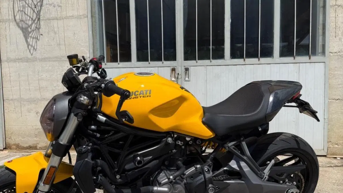 Ducati Monster 821 (2018 - 20)  (2)