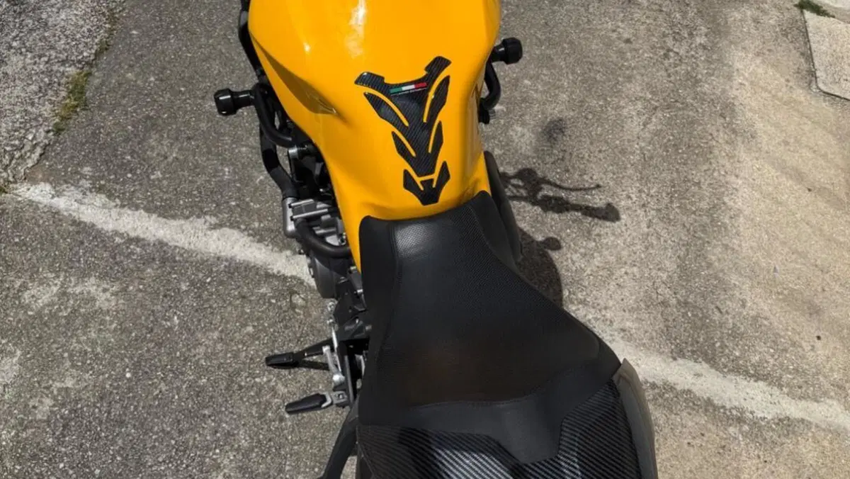 Ducati Monster 821 (2018 - 20)  (5)
