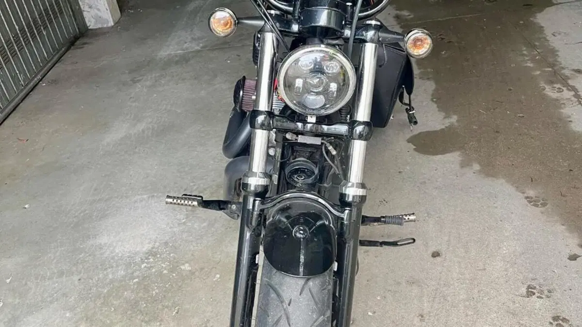 Harley-Davidson 1200 Forty-Eight (2010 - 15)  (2)