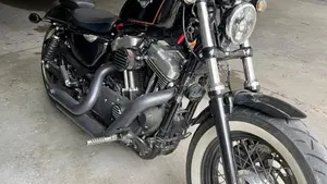Harley-Davidson 1200 Forty-Eight (2010 - 15)  (3)