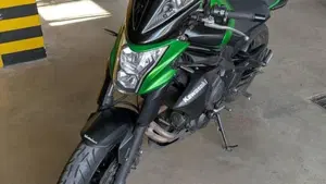 Kawasaki ER-6N ABS (2012 - 16)  (2)