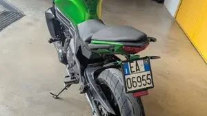 Kawasaki ER-6N ABS (2012 - 16)  (8)